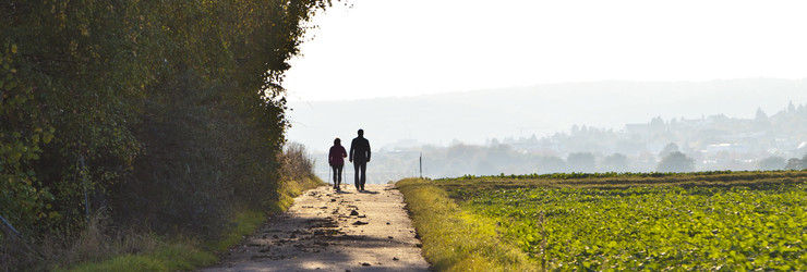 Wandel- en fietsroutes Roermond